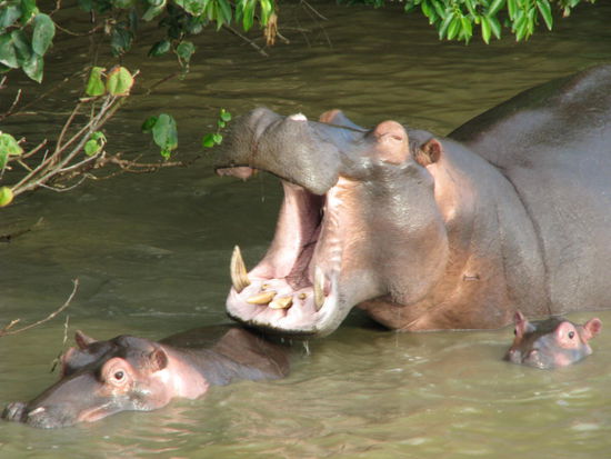 Mama stellt Baby vor!