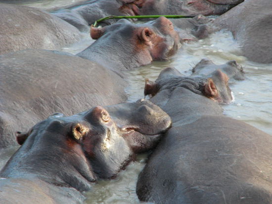In der Sauna ist es immer eng!