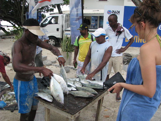 Frischer Fisch vom Fischer 