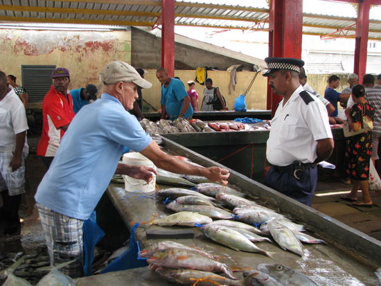 Frischer Fisch gut bewacht 
