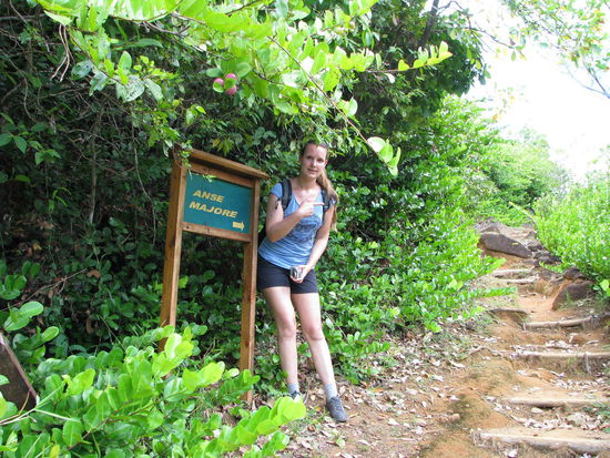 Da geht es zur Anse Major