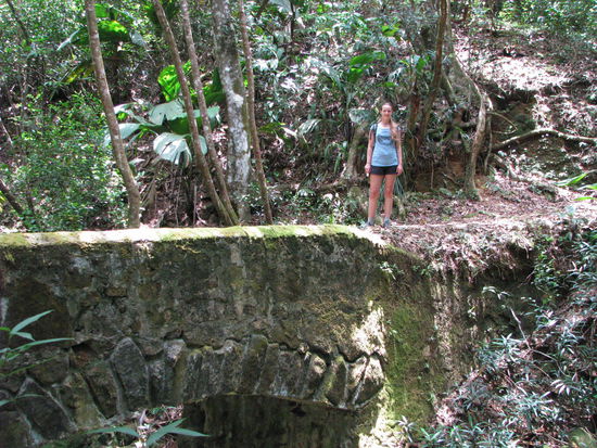 und alten Pflanzerbrücken