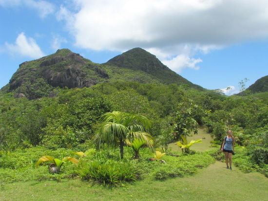 zum Hochplateau, sah wie eine große Wiese aus