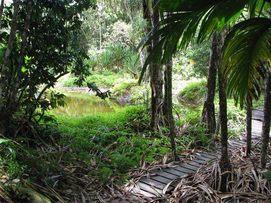 und da ist das Meer auf dem Berg