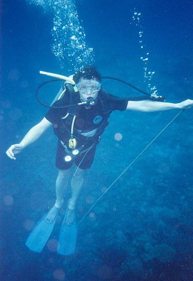 Sehr gutaussehender Taucher