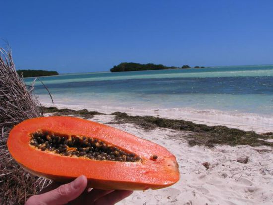 Papaya Snack im Bahia Honda State Park