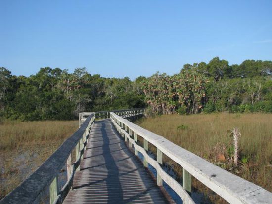 Mahogany Hammock Trail