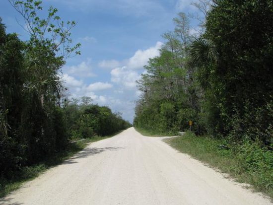 Nebenstrecke im Big Cypress National Preserve