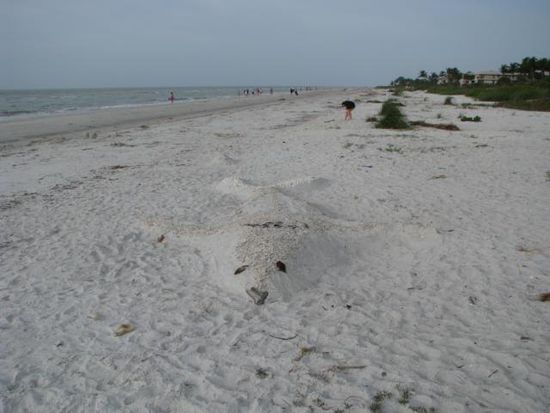 Strand auf Sanibel Island