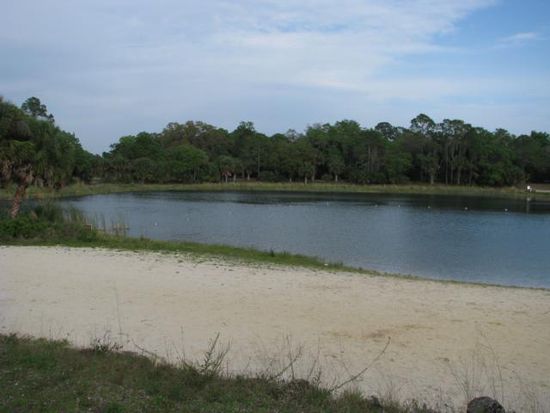 Mein Süßwassersee im Oscar Scherer State Park