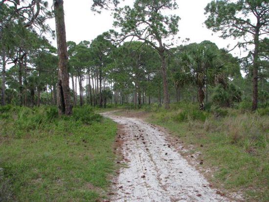 Schöne Wanderwege im Statepark