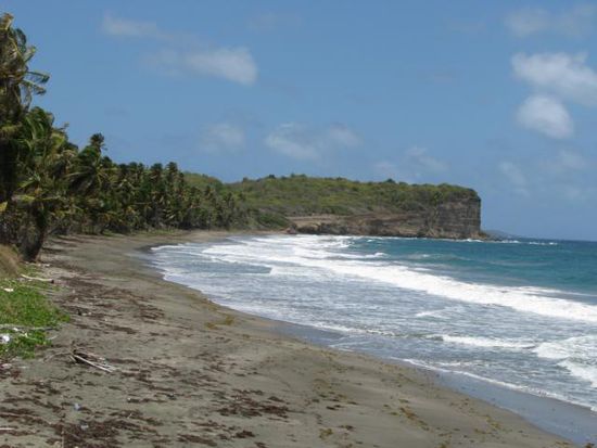 Levera Beach Strand der Schildkröten