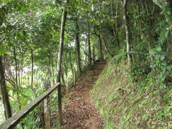 Mein Weg zum zweit höchsten Berg Grenadas dem Mt. Qua Qua
