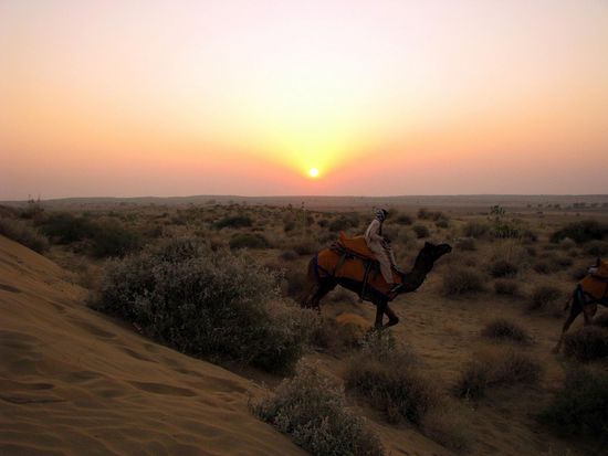 Sonnenuntergang in der Wüste Thar