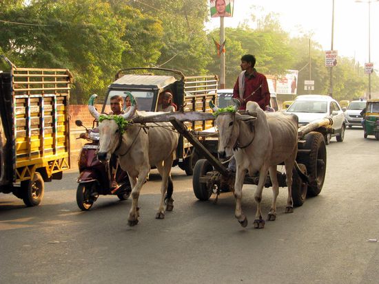 Viele Möglichkeiten zu Reisen 