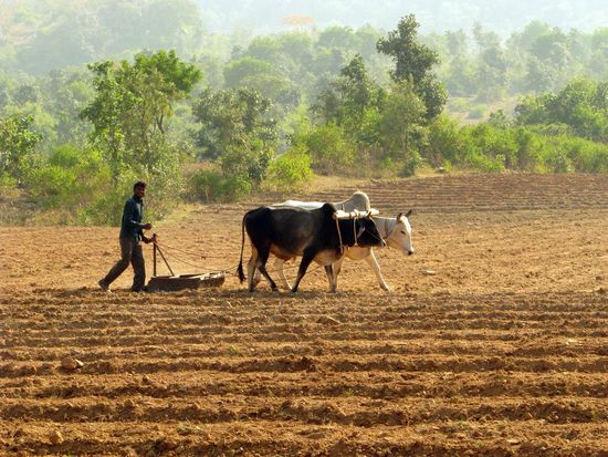 Bauer bei der Arbeit