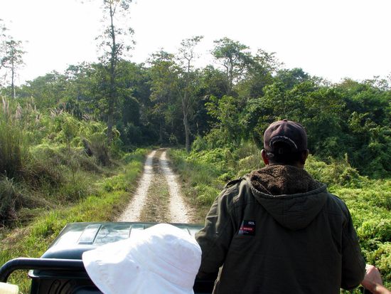 Auf der Pirsch zum seltenen Panzernashorn