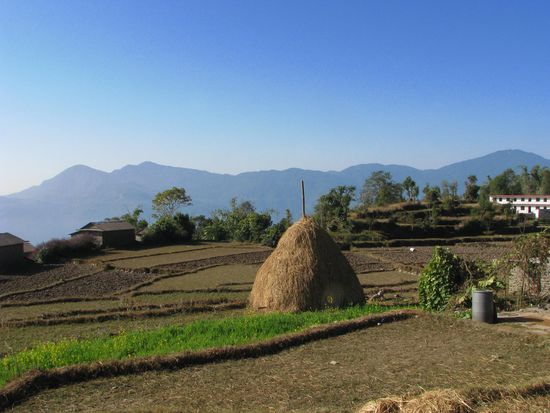 Tolle Einkliche in das Leben der Einheimischen