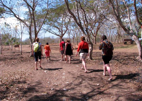 Führung zur Guanaroca Lagoon