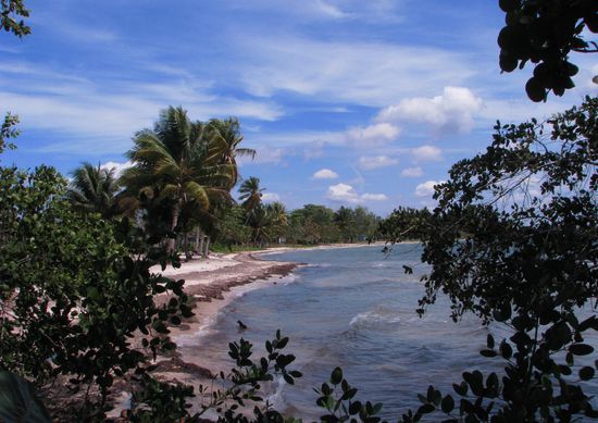 Die Schweinebucht. Sieht die nicht schön aus!