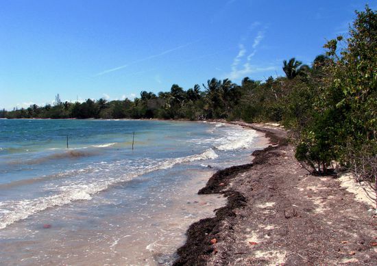 Endlose Strände, auch mit Mücken!