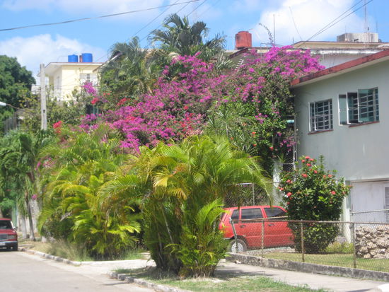 Noch einmal Übernachten in Havanna