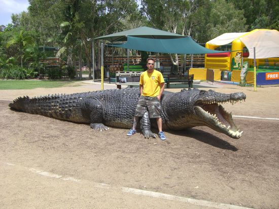 Im Australien Zoo