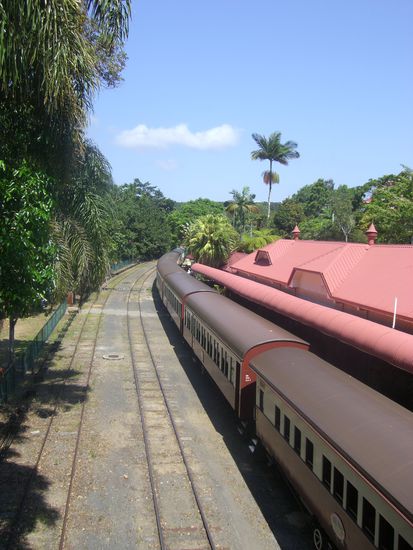 Zugfahrt durch den Regenwald