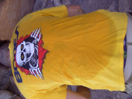 Gewandert wurde auch! Und zwar 9 Stunden um die freien Koalas zu sehen....hat sich aber gelohnt!