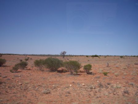 Wüstenlandschaft