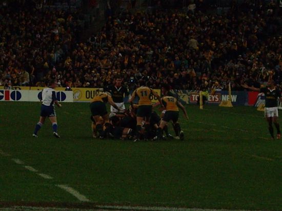 Die harten Jungs beim Schweinehaufen bilden.