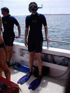 vom beginner zum advanced snorkler