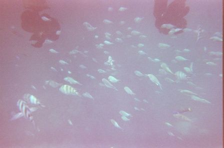 unter Wasser