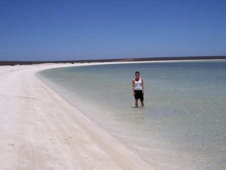 Shellbeach, der ganze Strand besteht nur aus kleinen Muscheln