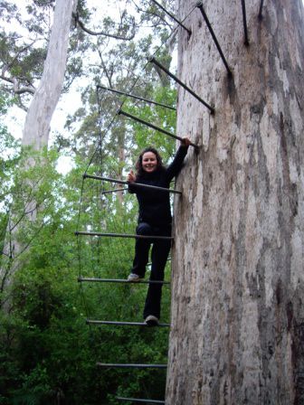 der Aufstieg zum Fire Tree