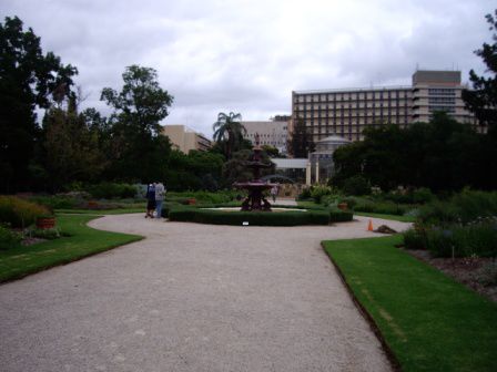 Botanischer garten