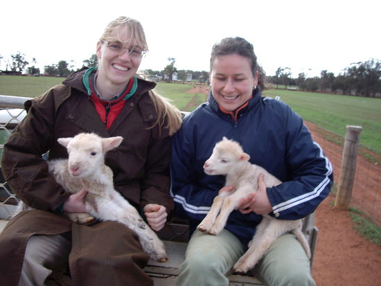 Mmmeeehh - sind die nicht süß?
