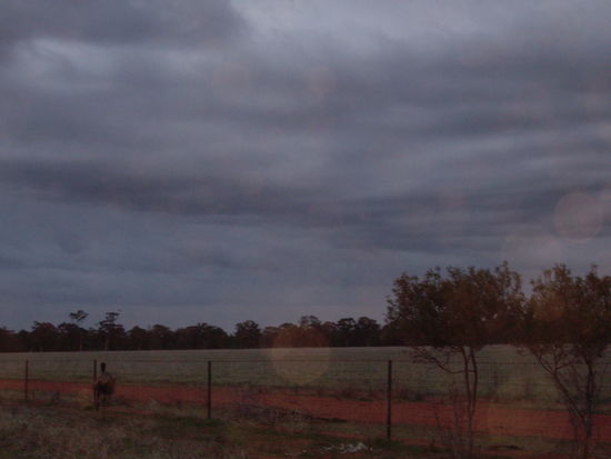 links: Emu, mitte unten: Unfallstelle