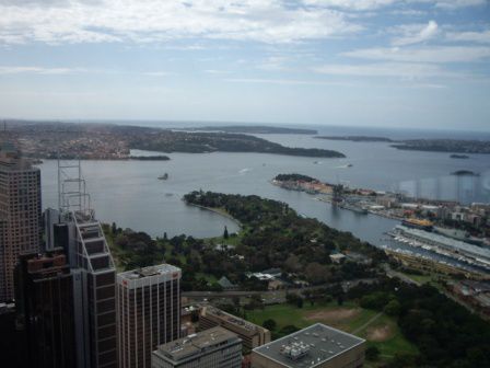 Ausblick vom Sydney Tower