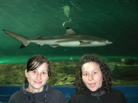 im Aquarium