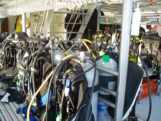 Zu Beginn bekam jeder seinen Platz und die Ausruestung zugewiesen. TAKA hat alles sehr gut organisiert und es gab zum Glueck nie ein Chaos, wenn sich alle zum Tauchen fertig gemacht haben. Da man immer mindestens zu zweit taucht (mit seinem Buddy) wurden zu Beginn die Buddyteams gebildet. Mein Buddy wurde Halina aus San Francisco, ein supernettes Maedel, wir hatten sehr viel Spass zusammen, leider ist sie gestern wieder nach Hause geflogen  Bilder seht ihr weiter unten.