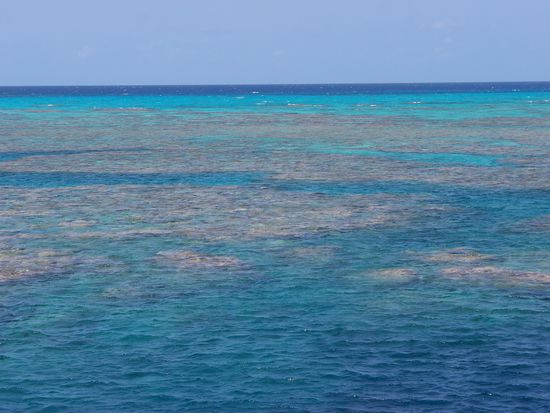 unser erster Tauchplatz... zu Beginn wurde mit den Passagieren (darunter auch ich), welche weniger als 50 Tauchgaenge hatten, nochmal ein Auffrischungstauchgang gemacht, der einige Uebungen unter Wasser beinhaltete. Spaeter konnten wir dann alleine bzw jeder mit seinem Buddy lostauchen. Auf Wunsch konnte man aber immer einen Guide in Anspruch nehmen, da aber vor jedem Tauchgang ein Briefing gemacht wurde, dabei der Tauchplatz erklaert wurde, war es ganz einfach alleine ohne Guide tauchen zu gehen
