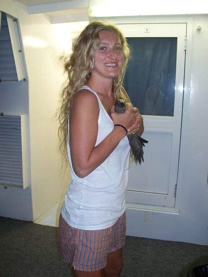 Bei der naechtlichen Ueberfahrt vom weit draussen gelegenen Reef, hat sich dieser Vogel ein "Taxi" zurueck zur Kuestengegend genommen... 