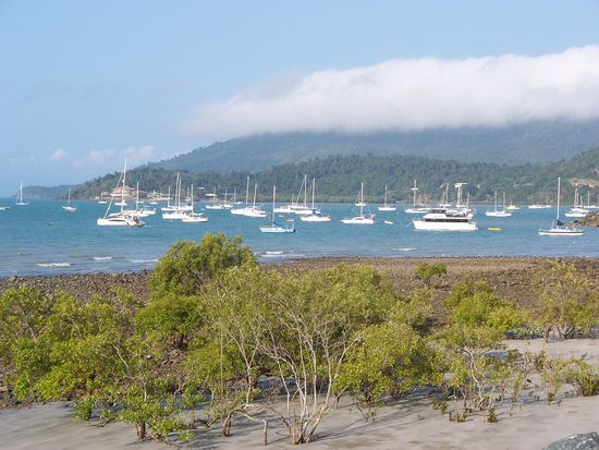 Hafen von Airlie Beach...
