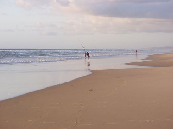 Vom Strand aus angeln, und dabei sogar Haie fangen, das ist moeglich auf Fraser Island!
