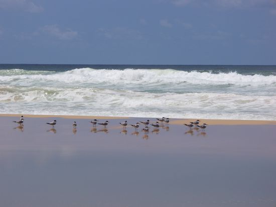 Wieder zurueck am 75 Mile Beach