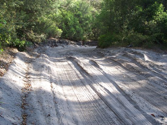 die Strassen von Fraser Island