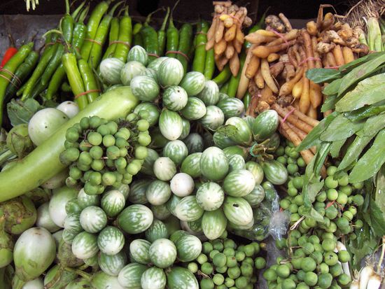 Wer kann mir sagen, wie diese Gemuesesorten heissen?