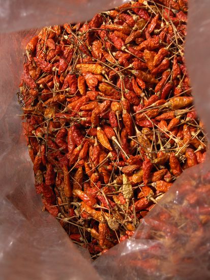 Chillis gehoeren natuerlich auch zu den meist verwendeten Zutaten und durften auch bei unseren Gerichten nicht fehlen...