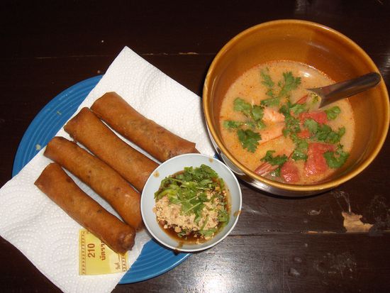 Fruehlingsrollen und Riesengarnelensuppe....mmhhh, das war lecker!